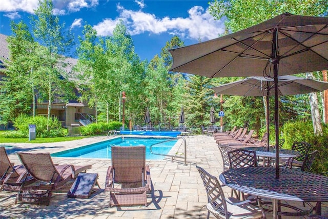 view of pool with a patio