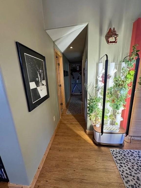 hall featuring wood finished floors and baseboards