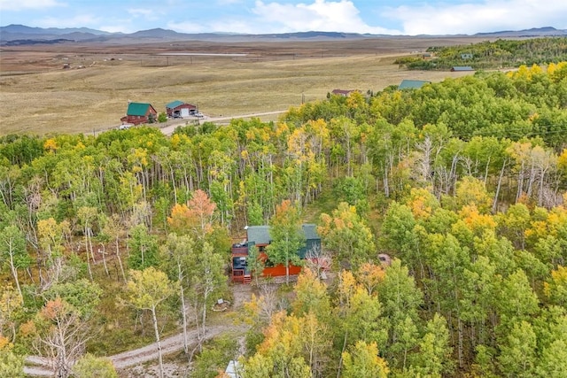 bird's eye view featuring a mountain view