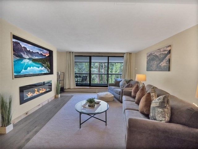 living room with a wall of windows