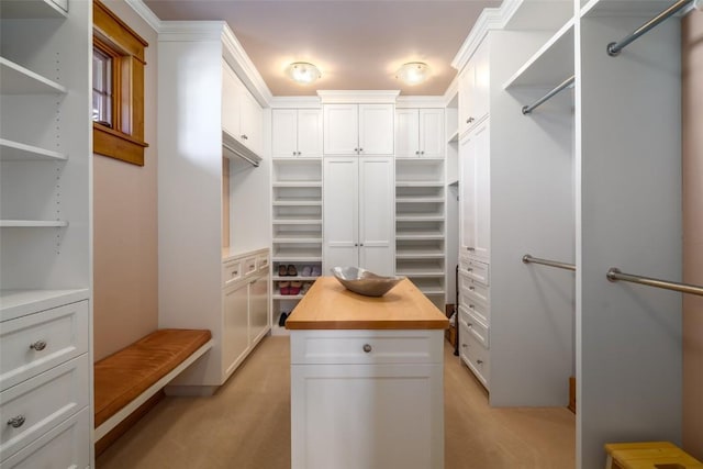 view of spacious closet