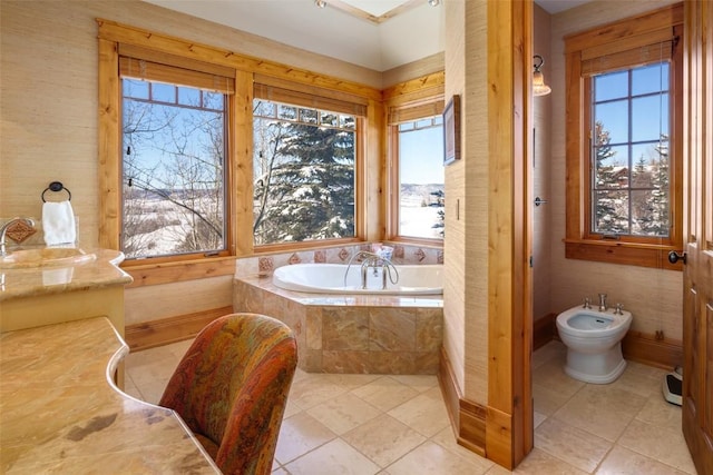 bathroom featuring sink, tiled tub, and a bidet