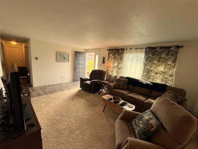 carpeted living area featuring a textured ceiling and wood finished floors