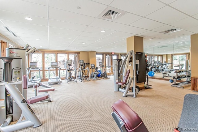 gym featuring a drop ceiling and carpet floors