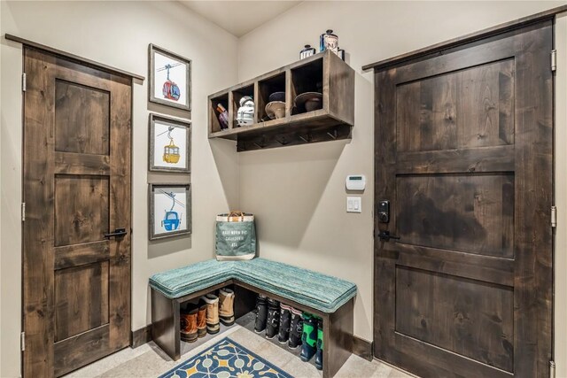 mudroom featuring light carpet