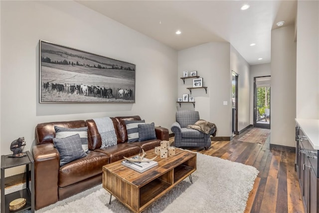 living room with dark hardwood / wood-style floors