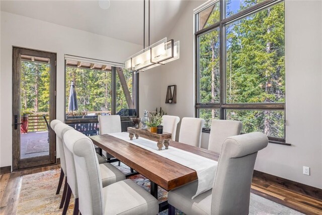 dining room with wood-type flooring