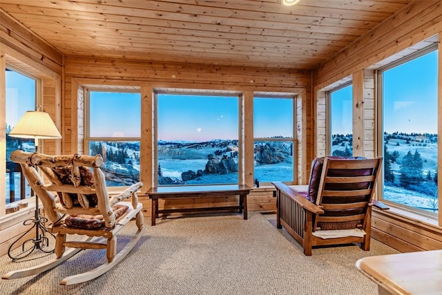 sunroom with wooden ceiling