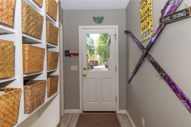 entryway featuring wood-type flooring