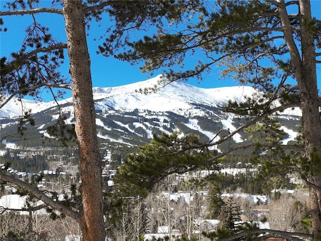 property view of mountains