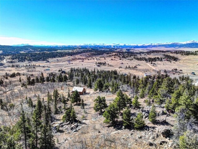 aerial view with a mountain view