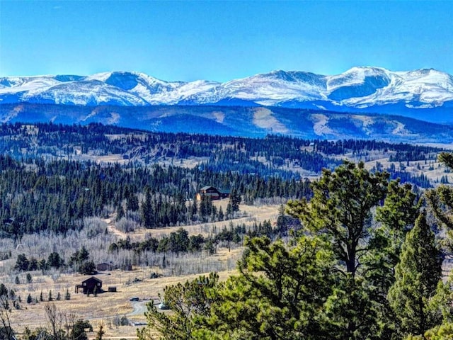 view of mountain feature