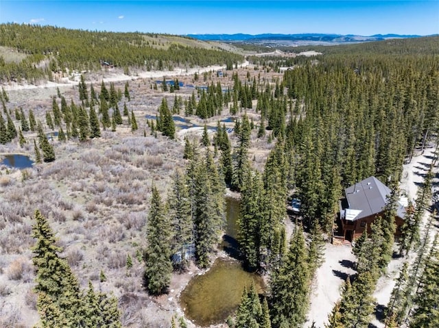 drone / aerial view featuring a mountain view