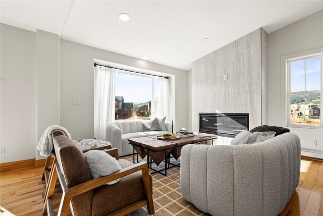 living room featuring a large fireplace, light hardwood / wood-style floors, and plenty of natural light