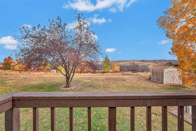 view of yard featuring a shed