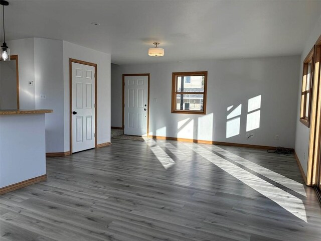 unfurnished living room with wood-type flooring