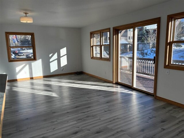 interior space featuring dark wood-type flooring