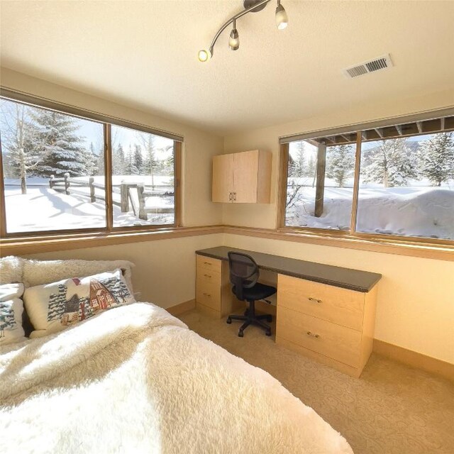 bedroom with built in desk and multiple windows