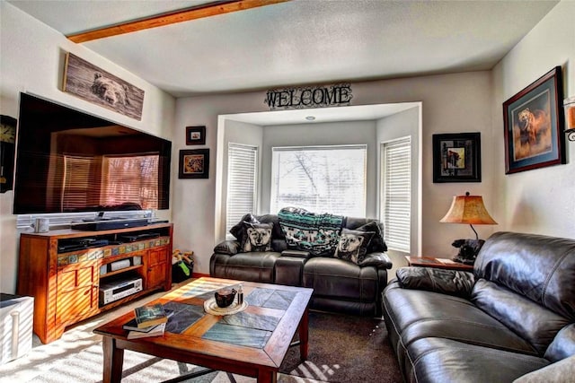 living room featuring carpet floors