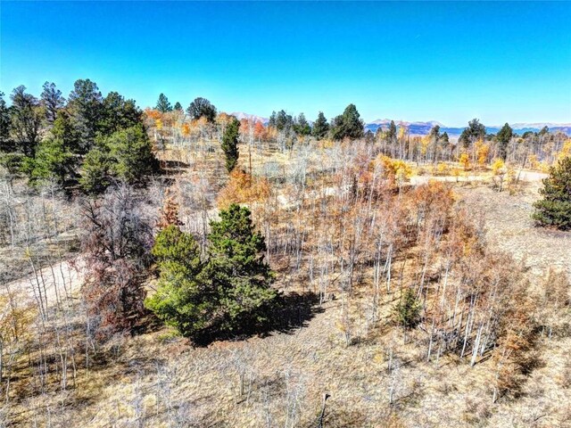 view of local wilderness