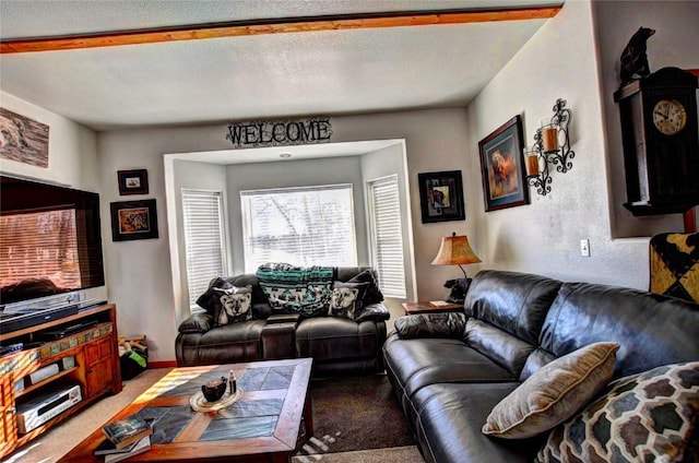 living room featuring a textured ceiling and carpet floors