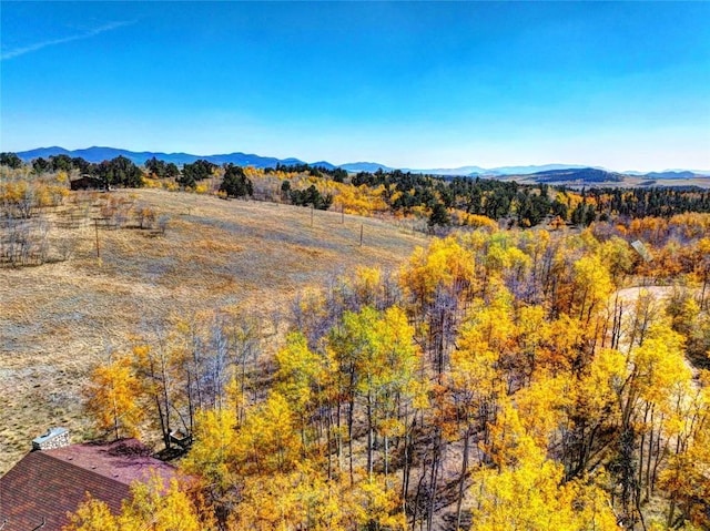 property view of mountains