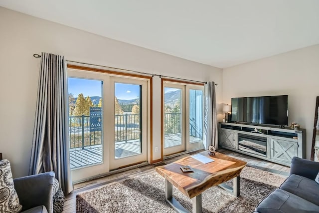 living room featuring hardwood / wood-style floors and a wealth of natural light