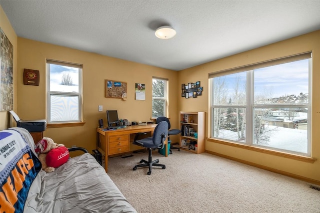 carpeted office space with visible vents, baseboards, and a textured ceiling