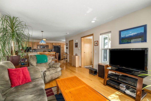 living area featuring light wood finished floors