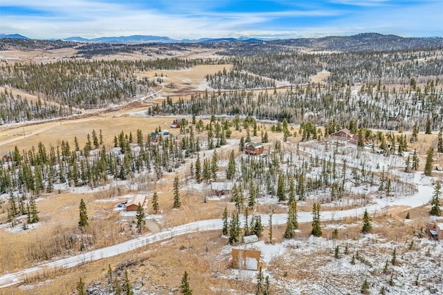 snowy aerial view featuring a mountain view