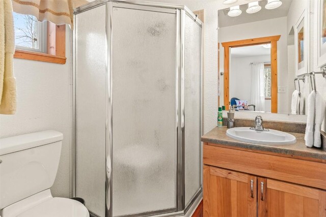 bathroom featuring vanity, toilet, and walk in shower