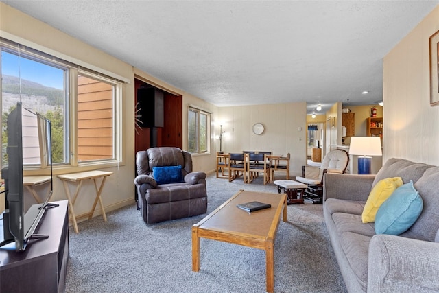 carpeted living area with a healthy amount of sunlight, a textured ceiling, and baseboards