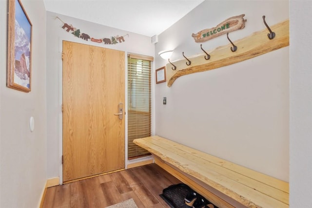 mudroom with wood-type flooring