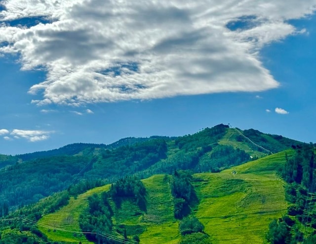 view of mountain feature