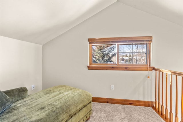 bedroom featuring carpet floors and lofted ceiling