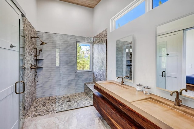 bathroom featuring vanity, a shower with shower door, and a wealth of natural light