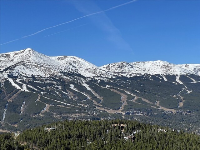 view of mountain feature featuring a forest view