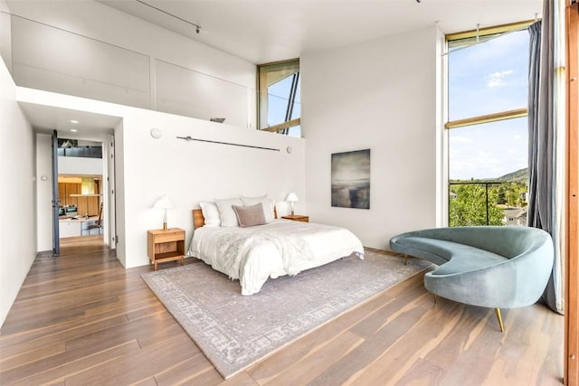 bedroom featuring multiple windows, wood-type flooring, and a wall of windows