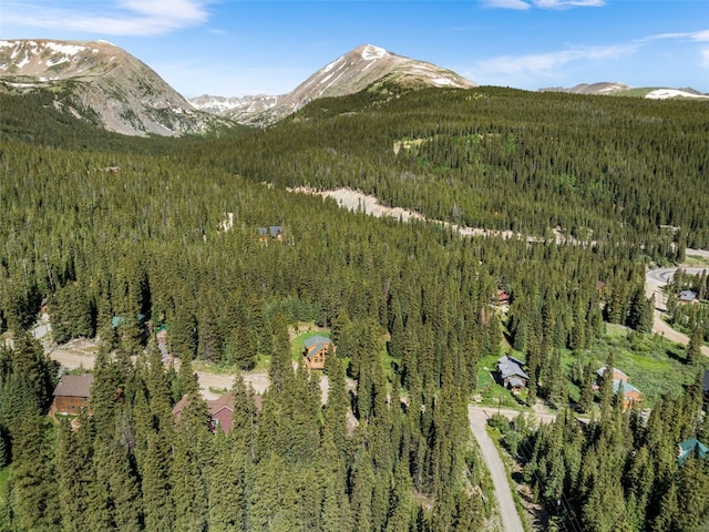 bird's eye view with a mountain view