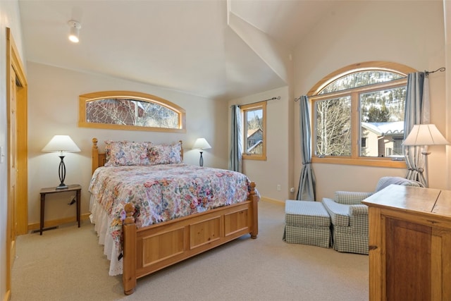 carpeted bedroom with multiple windows