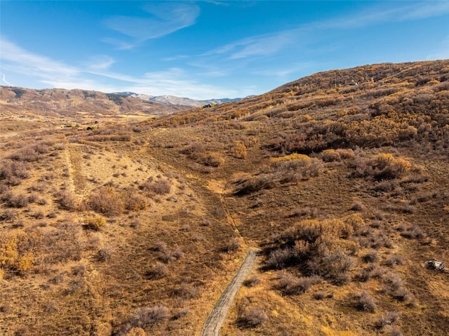 Listing photo 3 for 42295 Story Teller Ln, Steamboat Springs CO 80487