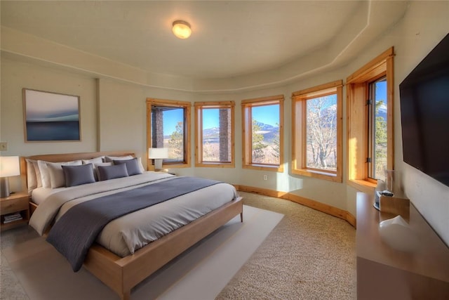 bedroom with carpet flooring