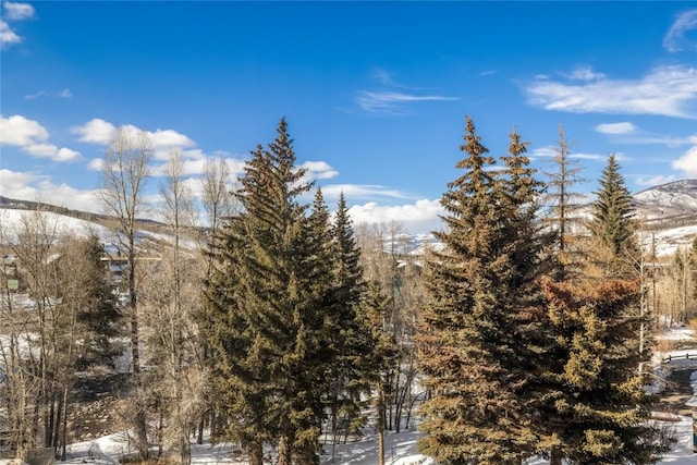 view of local wilderness featuring a mountain view