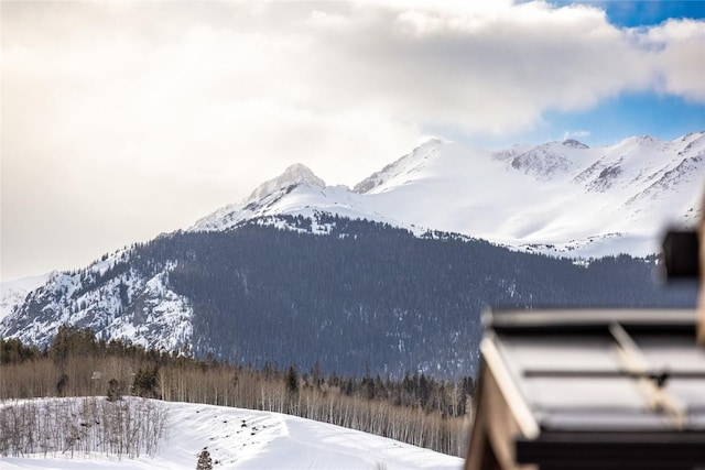 property view of mountains with a forest view