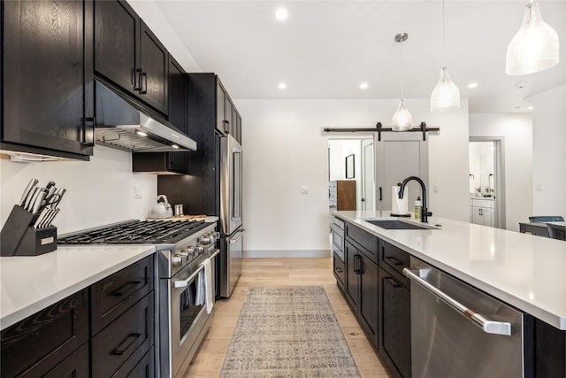 kitchen with a barn door, premium appliances, light wood-style flooring, under cabinet range hood, and a sink