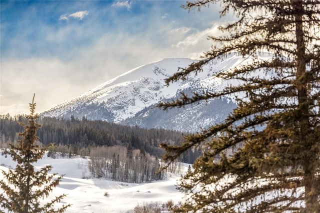 property view of mountains with a wooded view