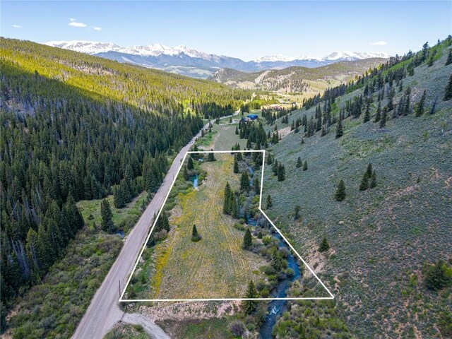 TBD Tiger Rd, Breckenridge CO, 80424 land for sale