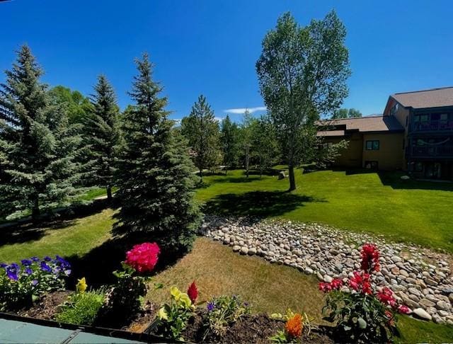 view of property's community featuring a lawn