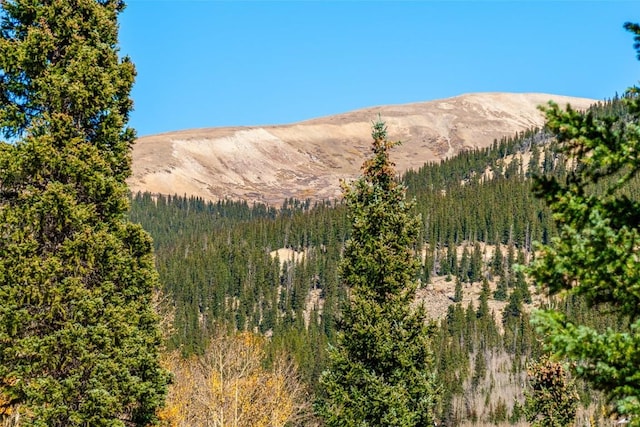 view of mountain feature