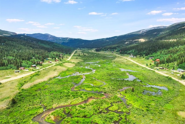 view of community with a mountain view